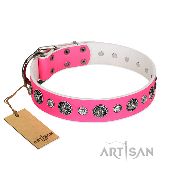 Soft leather dog collar with rust resistant traditional buckle