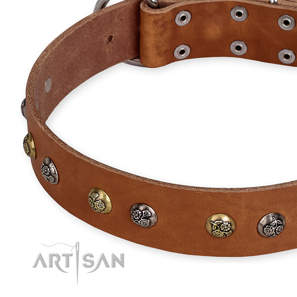 Full grain leather dog collar with stylish design corrosion proof decorations