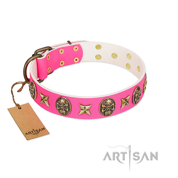 Leather dog collar with reliable embellishments