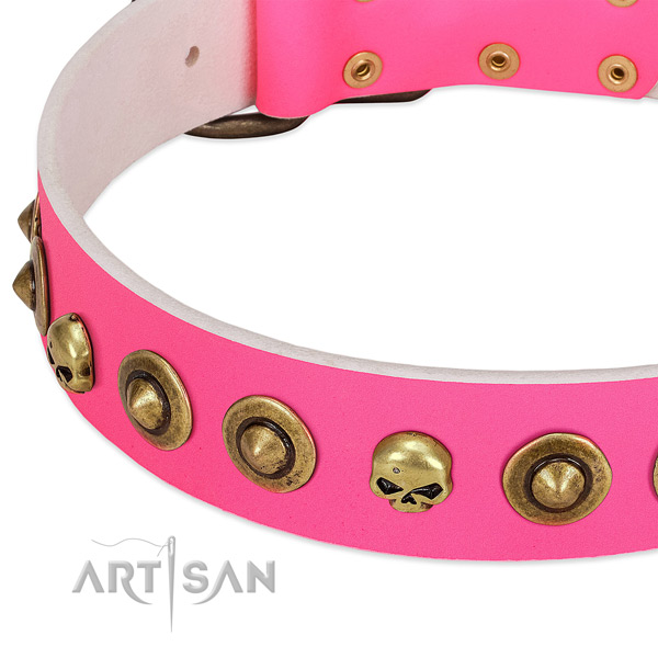 Designer studs on full grain genuine leather collar for your pet