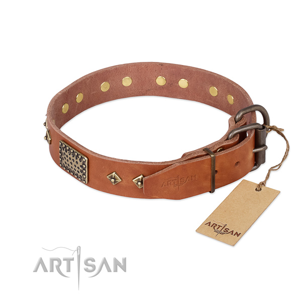 Full grain leather dog collar with reliable D-ring and embellishments