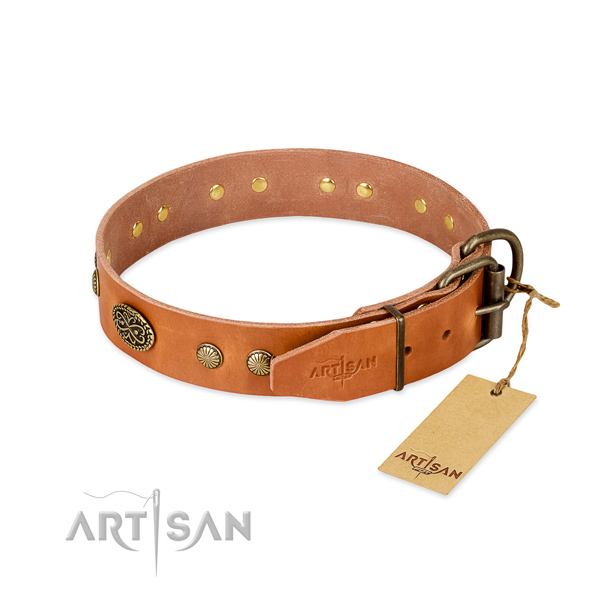 Reliable decorations on full grain leather dog collar for your dog