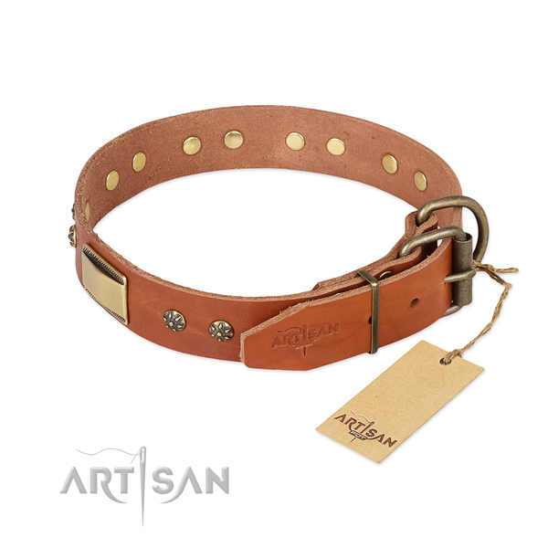 Full grain natural leather dog collar with rust-proof traditional buckle and studs