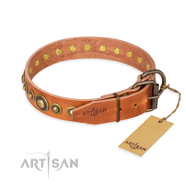 High quality full grain leather dog collar crafted for basic training