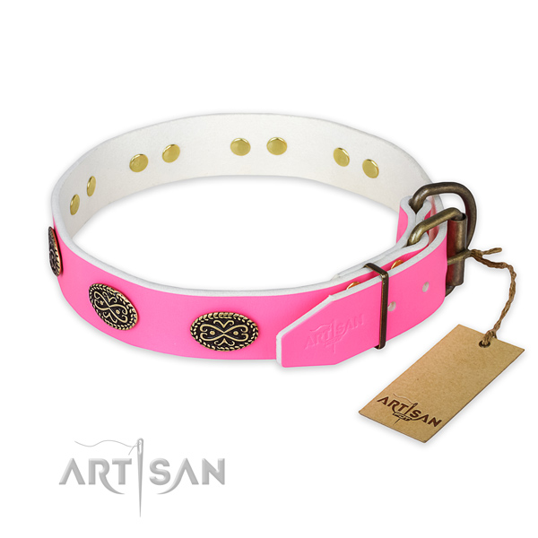 Reliable fittings on handy use dog collar