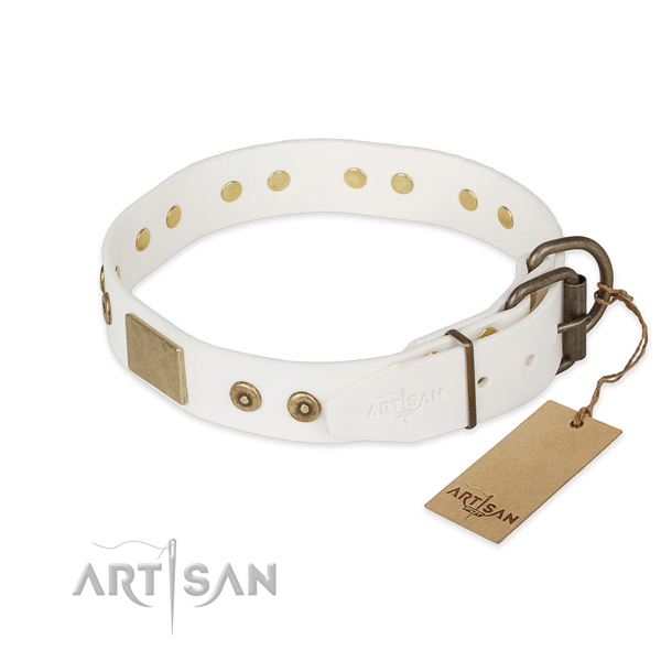 Natural leather dog collar with durable hardware and embellishments