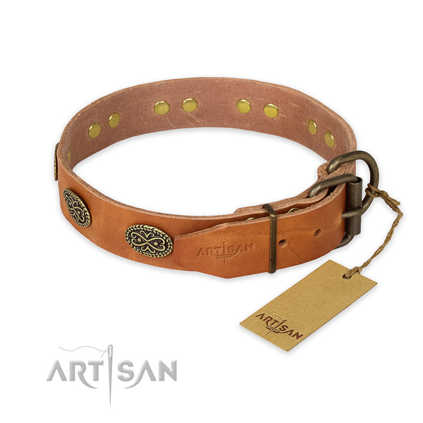 Corrosion proof buckle on leather collar for basic training your pet