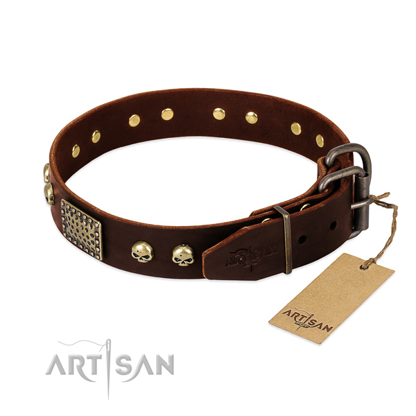 Durable fittings on everyday use dog collar