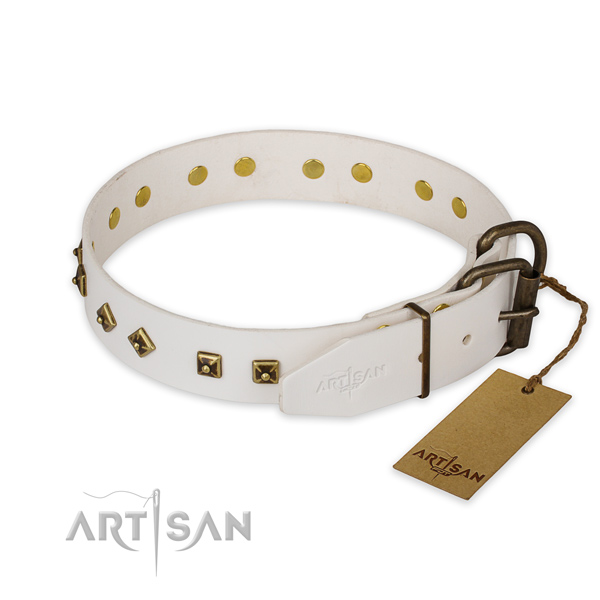 Durable fittings on full grain genuine leather collar for everyday walking your pet