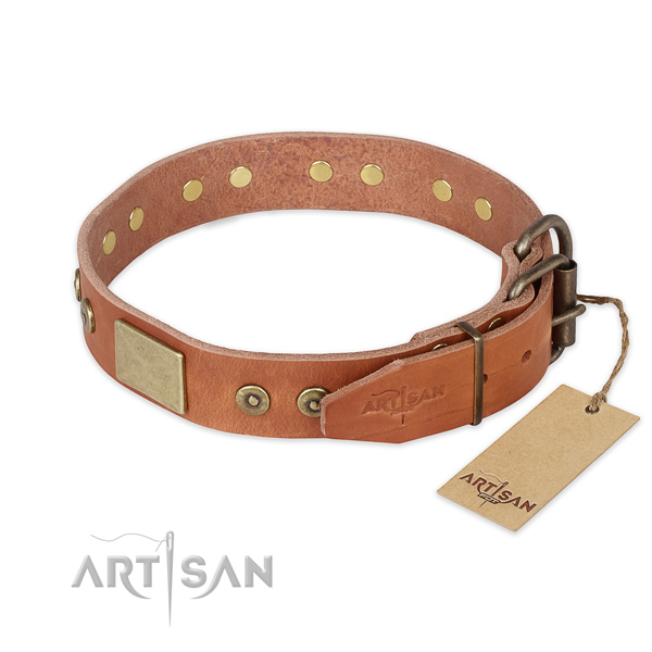 Durable hardware on leather collar for walking your pet