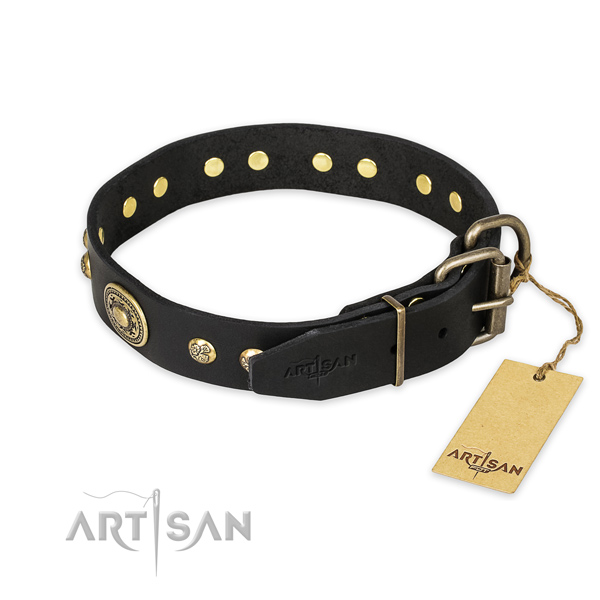 Durable hardware on full grain natural leather collar for fancy walking your pet