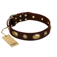 "Hebe's Jewel" FDT Artisan Brown Genuine Leather English Bulldog Collar