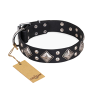 "Smart Geometry" FDT Artisan Studded Leather English Bulldog Collar