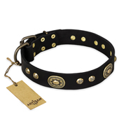 "High Fashion" FDT Artisan Studded with Plates Black Leather English Bulldog Collar