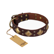 "Golden Square" FDT Artisan Brown Leather English Bulldog Collar with Large Squares