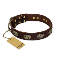 "Chocolate kiss" FDT Artisan Leather English Bulldog Collar with Old Bronze Look Oval Plates