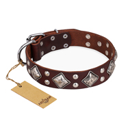 "King of Grace" FDT Artisan Stylish Leather English Bulldog Collar with Old Silver-Like Plated Decorations