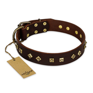 "Fashion Studs" FDT Artisan Decorated Leather English Bulldog Collar with Old Bronze-Plated Steel Hardware