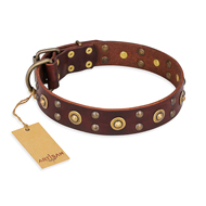 "Caprice of Fashion" FDT Artisan Brown Leather English Bulldog Collar with Round Decorations