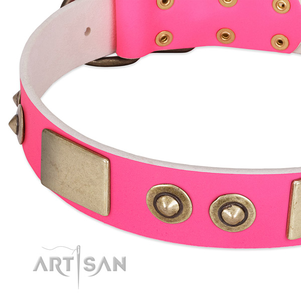 Reliable adornments on full grain natural leather dog collar for your dog