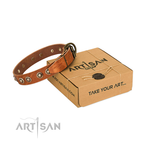 Corrosion resistant buckle on leather dog collar for your doggie
