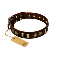 "Golden Elegance" FDT Artisan Brown Leather English Bulldog Collar with Old Bronze-like Decorations