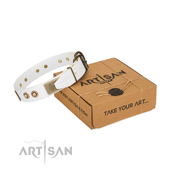 Rust-proof traditional buckle on full grain leather dog collar for your pet