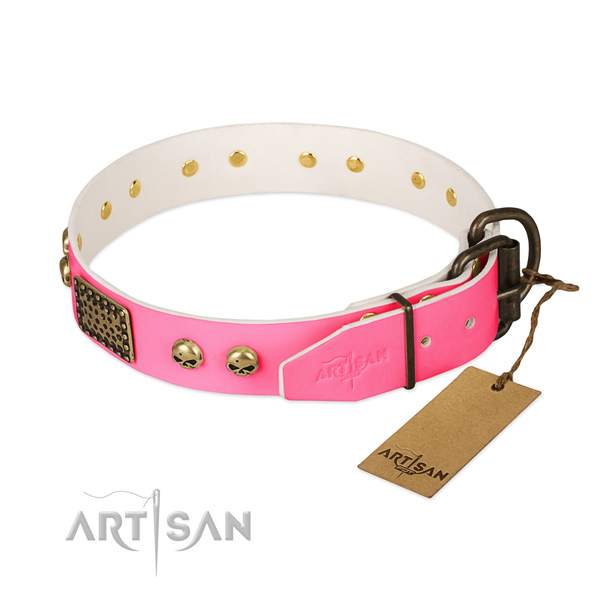 Reliable hardware on walking dog collar