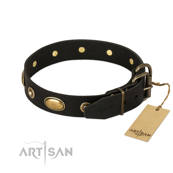 Strong decorations on natural leather dog collar for your canine
