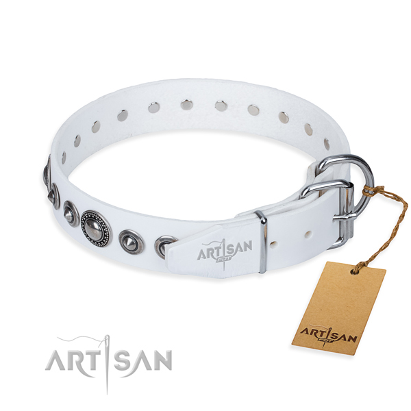 Full grain natural leather dog collar made of soft to touch material with reliable embellishments