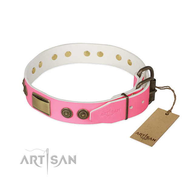 Reliable buckle on daily walking dog collar