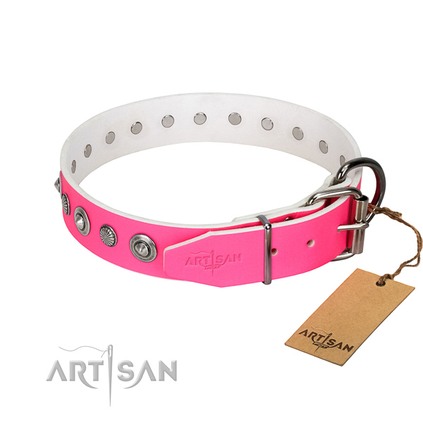 Strong genuine leather dog collar with impressive adornments