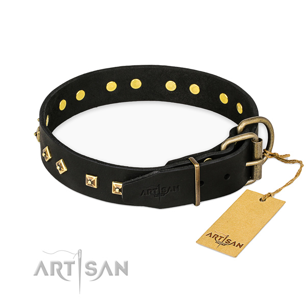 Corrosion proof buckle on full grain natural leather collar for basic training your four-legged friend
