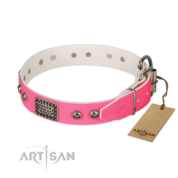 Rust-proof adornments on basic training dog collar