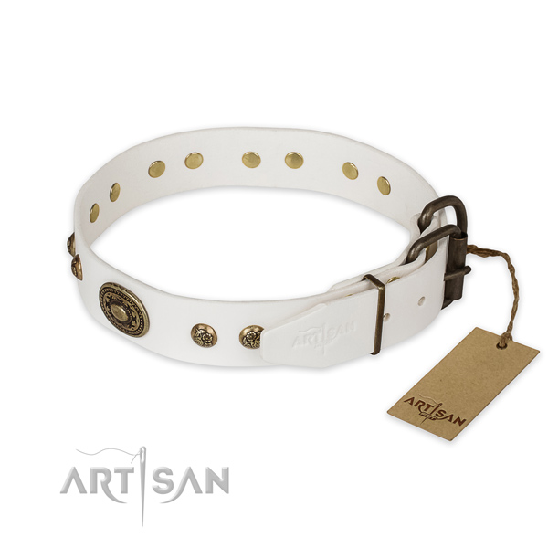 Reliable D-ring on full grain genuine leather collar for basic training your pet