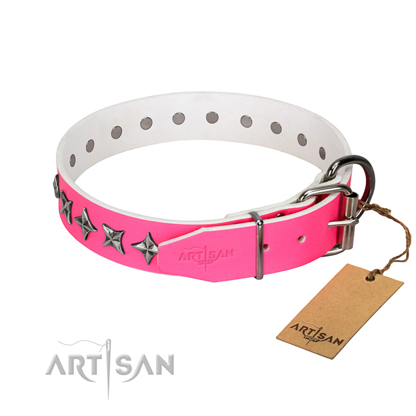 Best quality leather dog collar with exceptional adornments