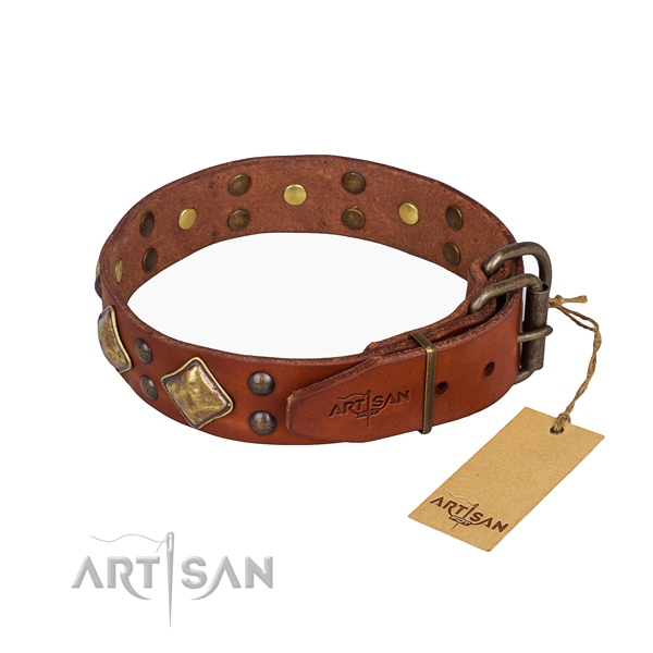 Full grain leather dog collar with stunning strong studs