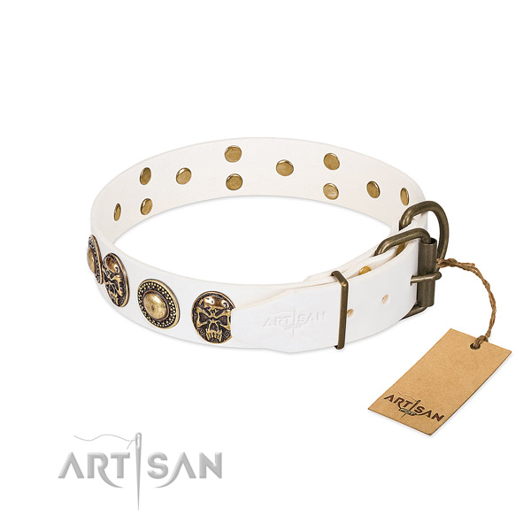 Corrosion resistant traditional buckle on easy wearing dog collar