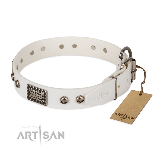 Rust-proof studs on handy use dog collar