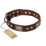 "Loving Owner" FDT Artisan Decorated Leather English Bulldog Collar with Plates and Studs