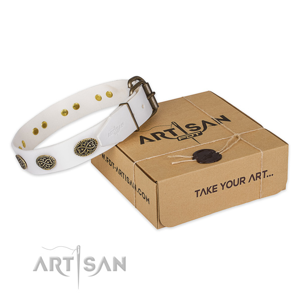 Rust-proof traditional buckle on full grain natural leather dog collar for everyday use