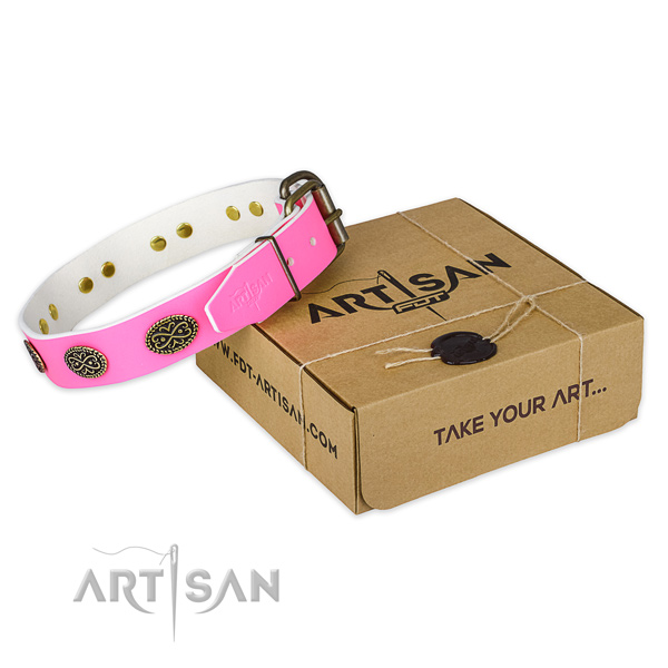 Studded leather dog collar for stylish walks