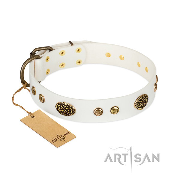 Corrosion proof fittings on full grain natural leather dog collar for your four-legged friend