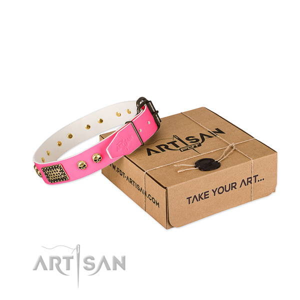 Rust-proof hardware on dog collar for stylish walking