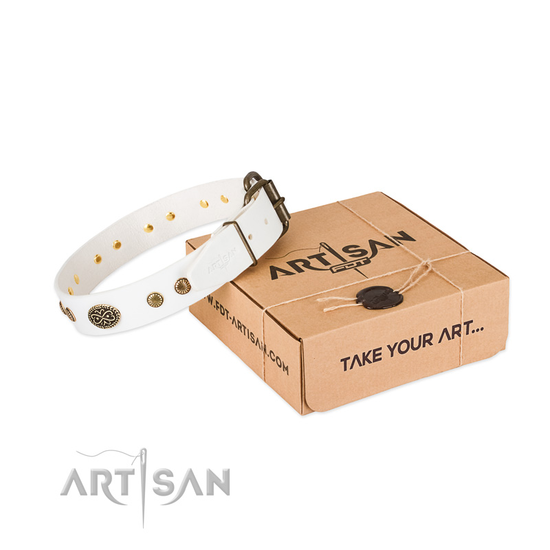 Durable buckle on leather dog collar for your doggie