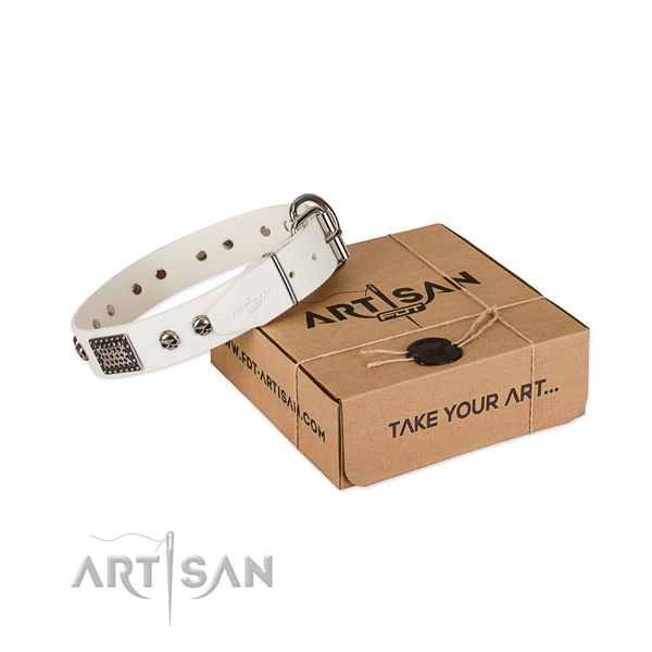 Durable fittings on dog collar for easy wearing