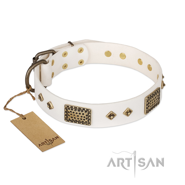 Exquisite leather dog collar for comfy wearing