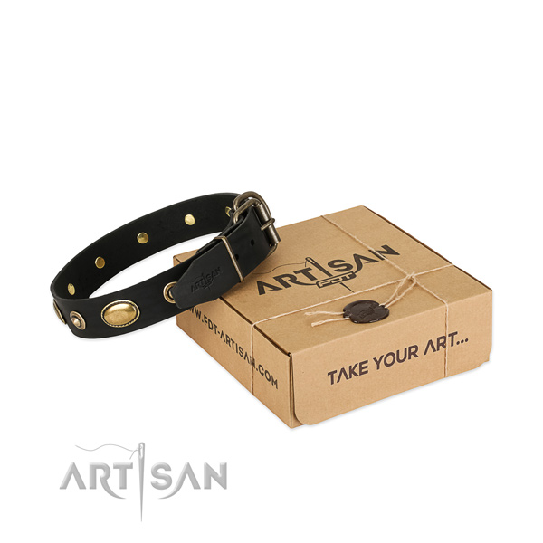 Durable adornments on full grain leather dog collar for your dog