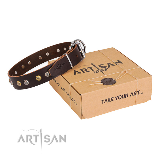 Strong genuine leather dog collar handcrafted for stylish walking