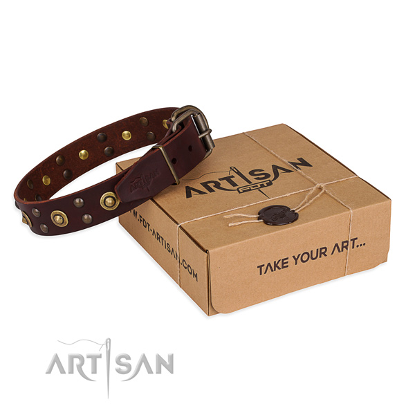 Strong traditional buckle on genuine leather collar for your lovely dog